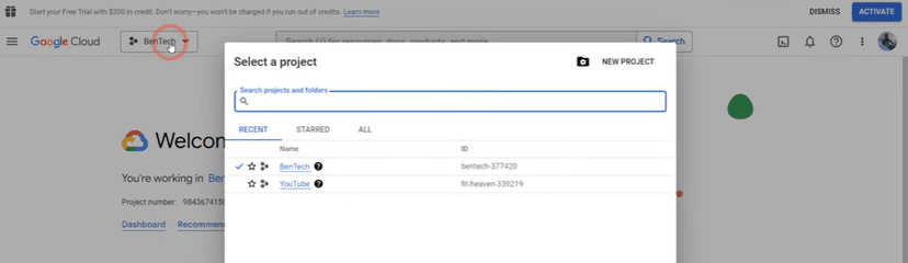 forest with sunlight